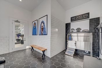 Pet spa